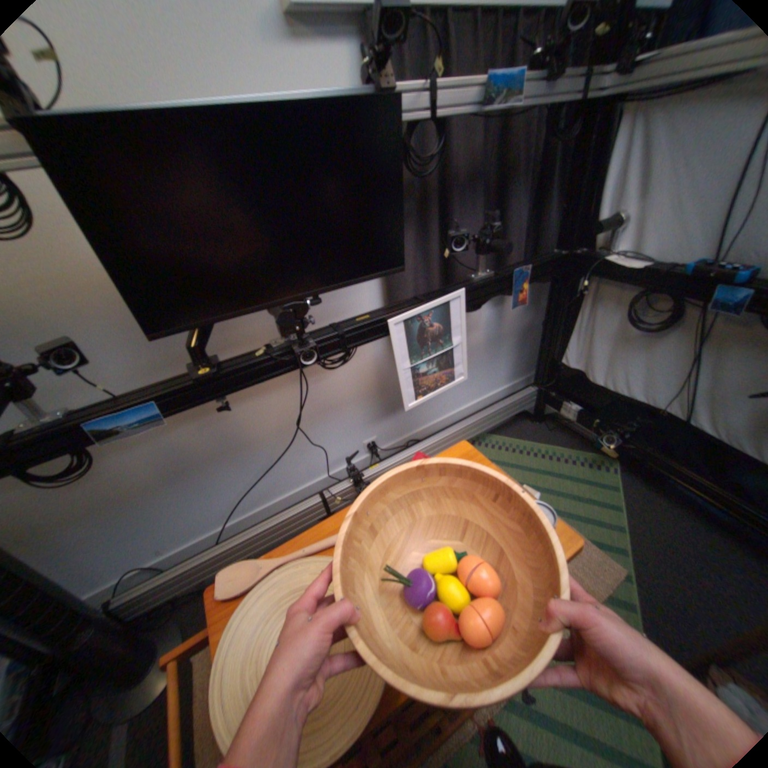 Egocentric observations of both hands holding a wooden bowl.